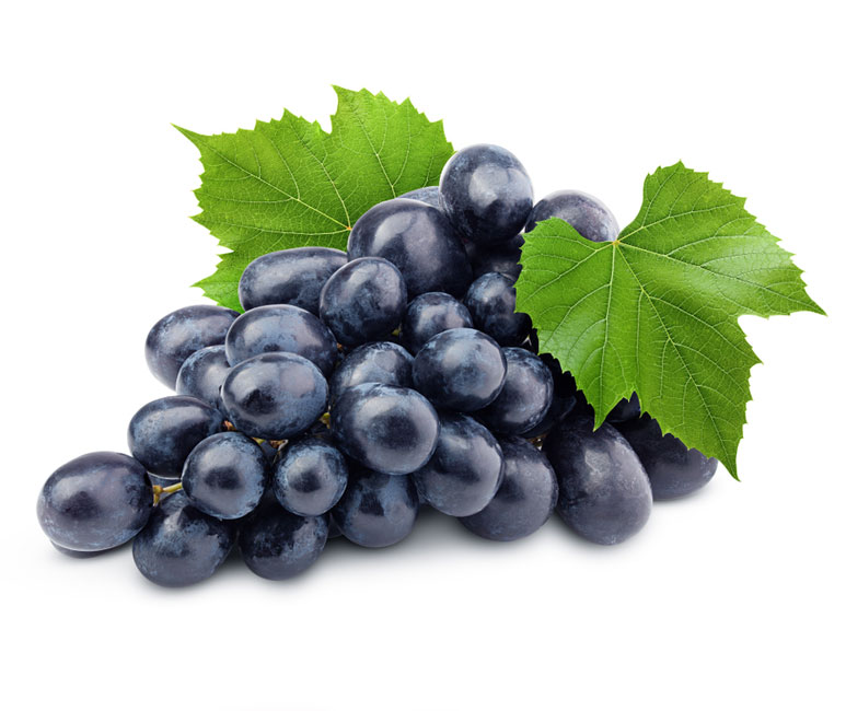 نهال انگور سیاه سردشت